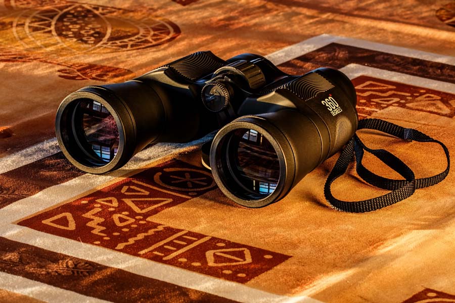 Sports Optics – Image Stabilized Binoculars