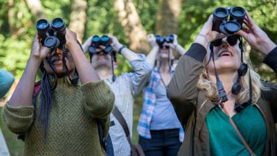 Binocular Basics for Bird Watching